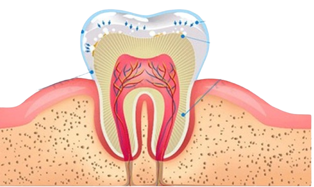 ¡Sonríe Seguro! Blanqueador Dental Profesional